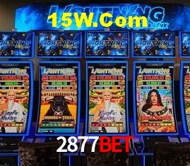 2877Bet - User Statistics