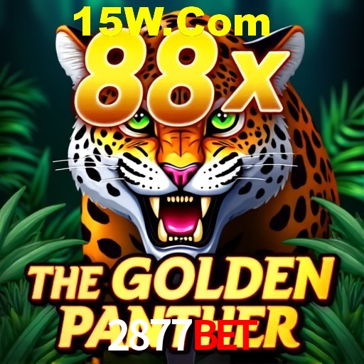 2877Bet Rio de Janeiro - Professional Dealers